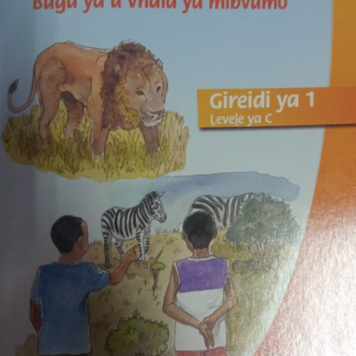 Ri dzimula dora Gr 1 Reader C